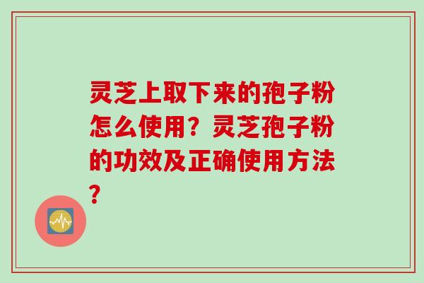 灵芝上取下来的孢子粉怎么使用？灵芝孢子粉的功效及正确使用方法？