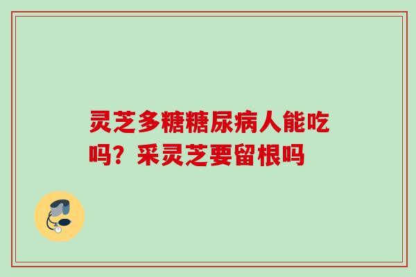 灵芝多糖糖尿病人能吃吗？采灵芝要留根吗