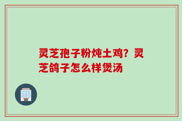 灵芝孢子粉炖土鸡？灵芝鸽子怎么样煲汤