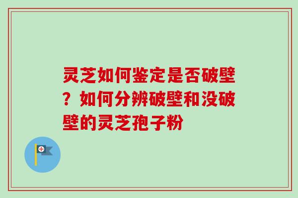 灵芝如何鉴定是否破壁？如何分辨破壁和没破壁的灵芝孢子粉