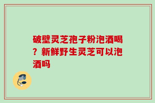 破壁灵芝孢子粉泡酒喝?新鲜野生灵芝可以泡酒吗 破壁灵芝孢子粉泡酒喝?新鲜野生灵芝可以泡酒吗