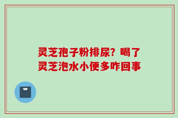 灵芝孢子粉排尿？喝了灵芝泡水小便多咋回事
