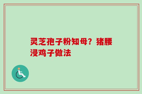 灵芝孢子粉知母？猪腰浸鸡子做法