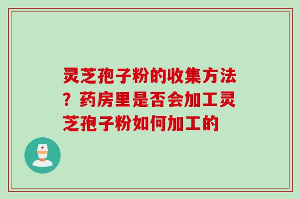 灵芝孢子粉的收集方法?药房里是否会加工灵芝孢子粉如何加工的