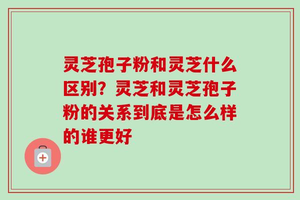 灵芝孢子粉和灵芝什么区别？灵芝和灵芝孢子粉的关系到底是怎么样的谁更好