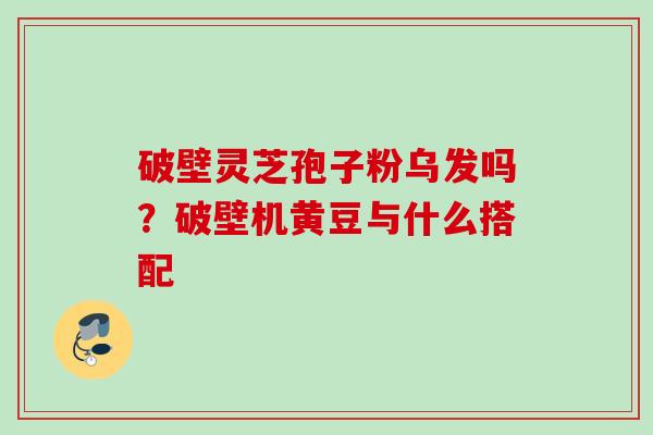破壁灵芝孢子粉乌发吗？破壁机黄豆与什么搭配