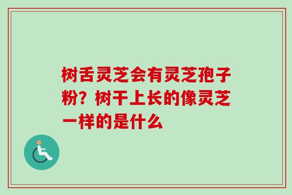 树舌灵芝会有灵芝孢子粉？树干上长的像灵芝一样的是什么