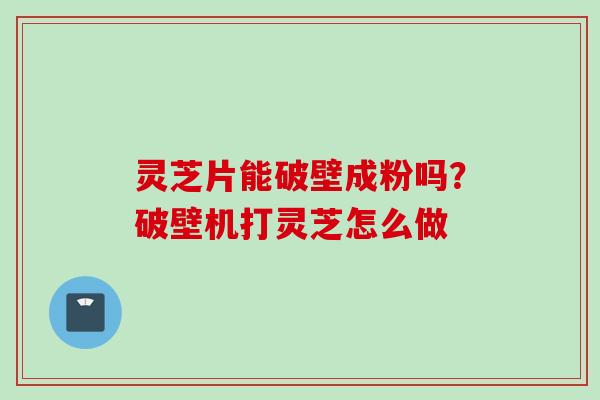 灵芝片能破壁成粉吗？破壁机打灵芝怎么做