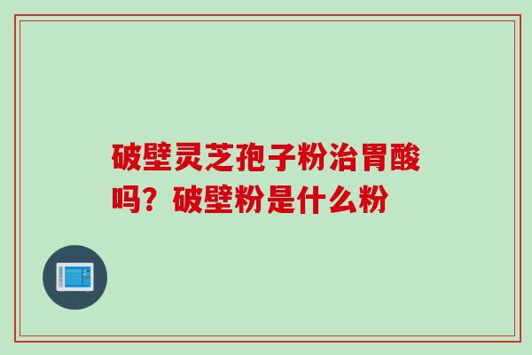 破壁灵芝孢子粉治胃酸吗？破壁粉是什么粉