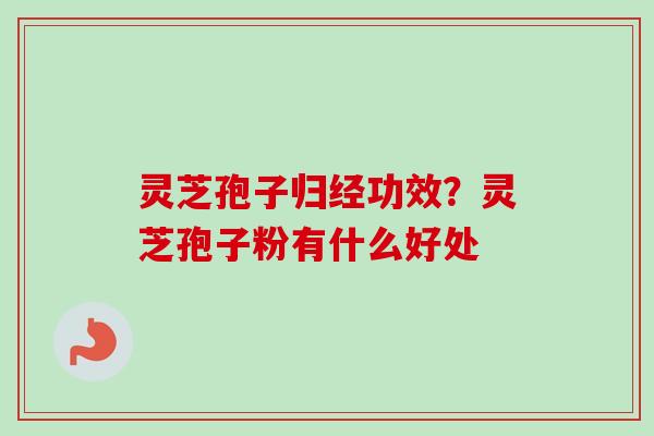 灵芝孢子归经功效？灵芝孢子粉有什么好处