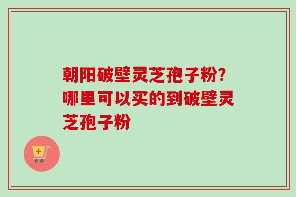 朝阳破壁灵芝孢子粉？哪里可以买的到破壁灵芝孢子粉