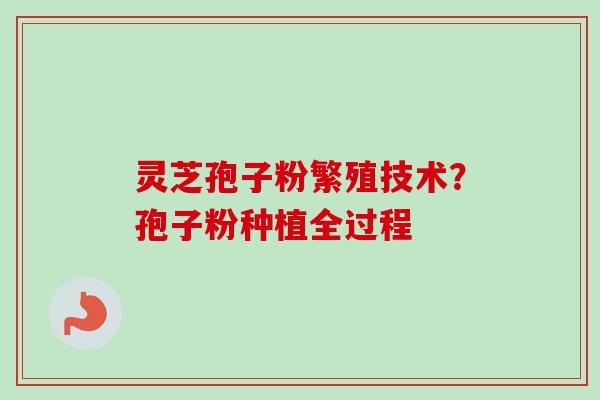 灵芝孢子粉繁殖技术？孢子粉种植全过程
