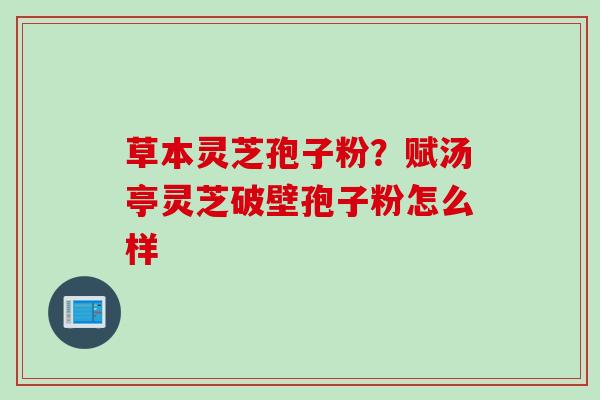 草本灵芝孢子粉？赋汤亭灵芝破壁孢子粉怎么样