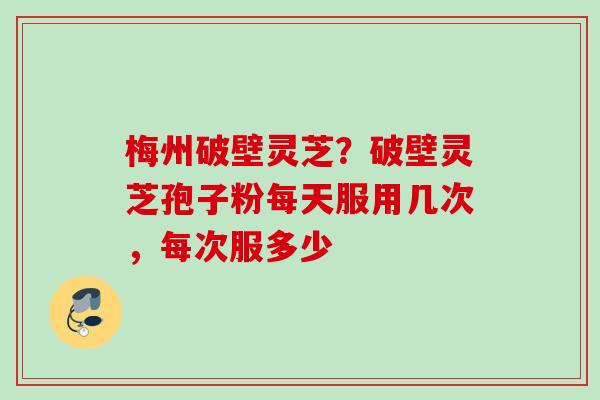 梅州破壁灵芝？破壁灵芝孢子粉每天服用几次，每次服多少