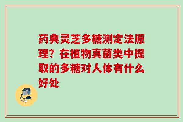 药典灵芝多糖测定法原理？在植物真菌类中提取的多糖对人体有什么好处