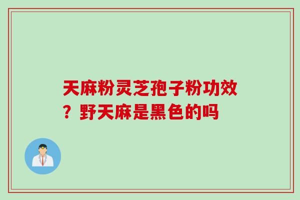 天麻粉灵芝孢子粉功效?野天麻是黑色的吗