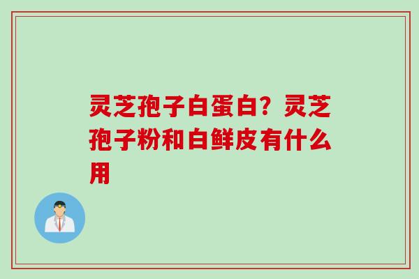 灵芝孢子白蛋白？灵芝孢子粉和白鲜皮有什么用