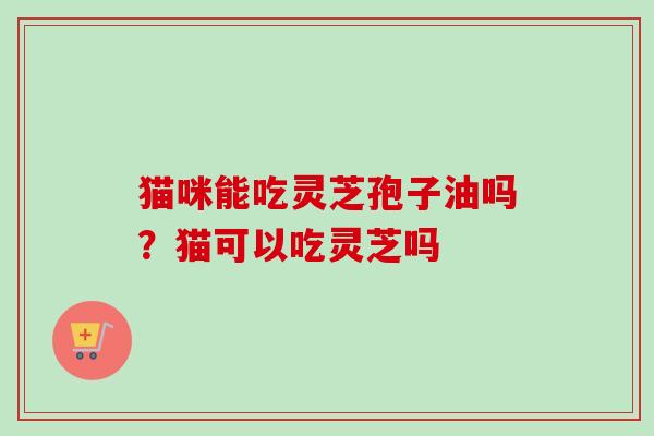 猫咪能吃灵芝孢子油吗？猫可以吃灵芝吗