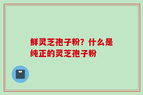 鲜灵芝孢子粉？什么是纯正的灵芝孢子粉