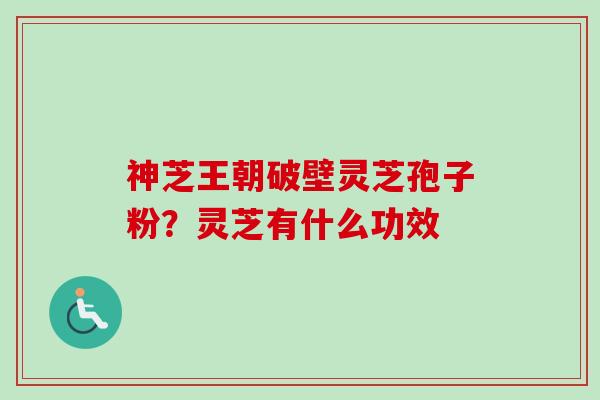 神芝王朝破壁灵芝孢子粉？灵芝有什么功效
