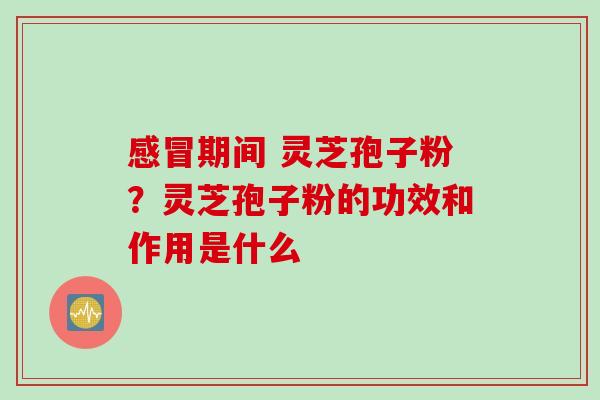 感冒期间 灵芝孢子粉？灵芝孢子粉的功效和作用是什么
