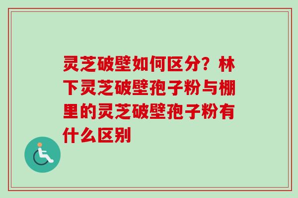 灵芝破壁如何区分？林下灵芝破壁孢子粉与棚里的灵芝破壁孢子粉有什么区别