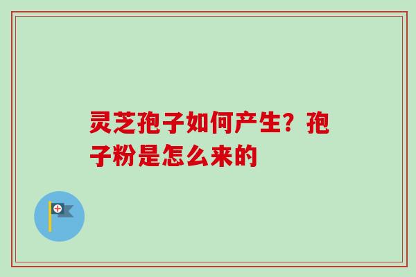 灵芝孢子如何产生？孢子粉是怎么来的