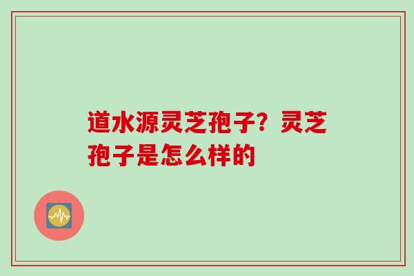 道水源灵芝孢子？灵芝孢子是怎么样的