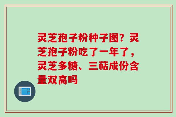 灵芝孢子粉种子图？灵芝孢子粉吃了一年了，灵芝多糖、三萜成份含量双高吗