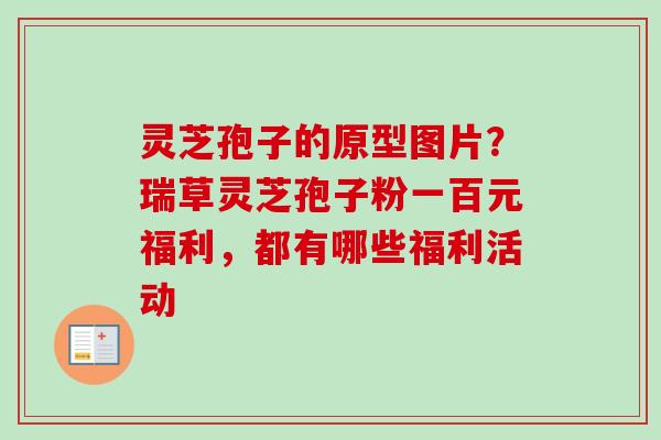 灵芝孢子的原型图片?瑞草灵芝孢子粉一百元福利,都有哪些福利活动