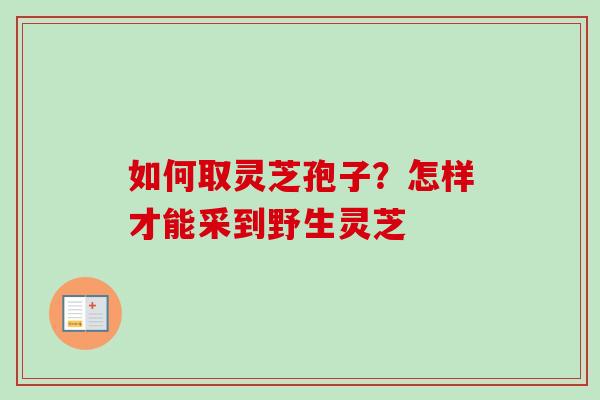 如何取灵芝孢子？怎样才能采到野生灵芝