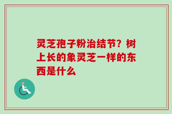 灵芝孢子粉治结节？树上长的象灵芝一样的东西是什么