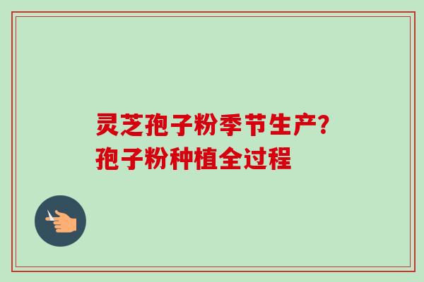 灵芝孢子粉季节生产？孢子粉种植全过程