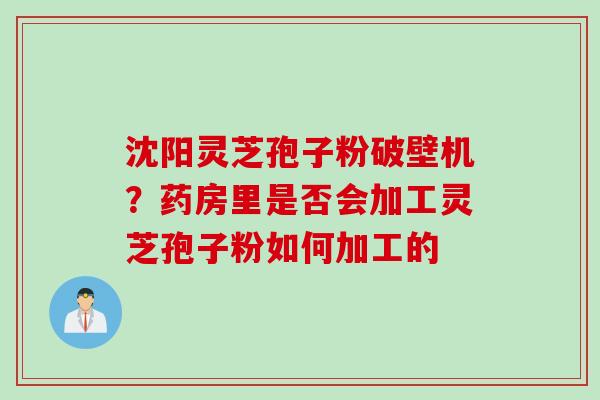 沈阳灵芝孢子粉破壁机？药房里是否会加工灵芝孢子粉如何加工的