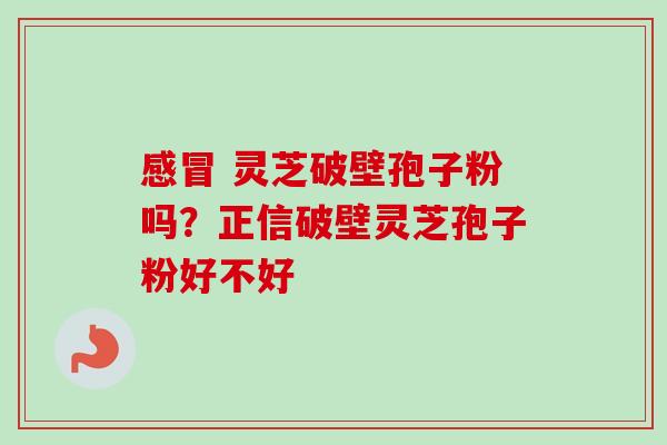 感冒 灵芝破壁孢子粉吗？正信破壁灵芝孢子粉好不好