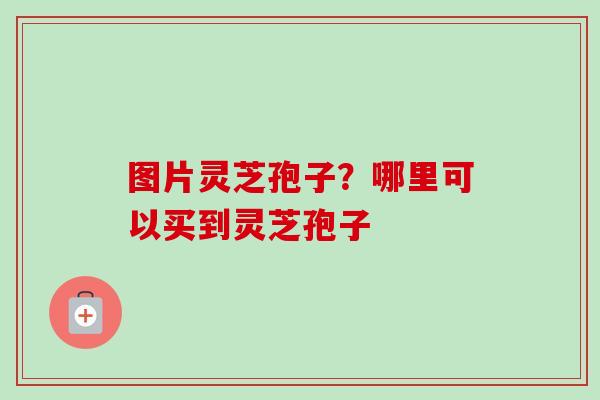 图片灵芝孢子？哪里可以买到灵芝孢子