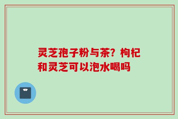 灵芝孢子粉与茶？枸杞和灵芝可以泡水喝吗