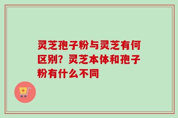 灵芝孢子粉与灵芝有何区别？灵芝本体和孢子粉有什么不同