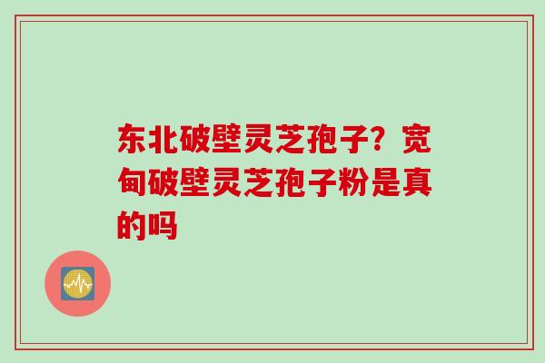 东北破壁灵芝孢子？宽甸破壁灵芝孢子粉是真的吗