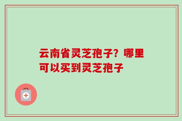 云南省灵芝孢子？哪里可以买到灵芝孢子