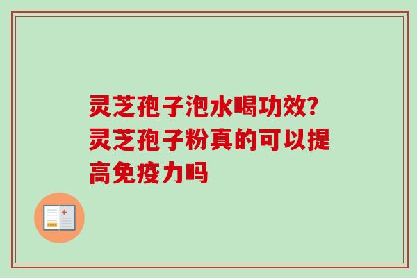 灵芝孢子泡水喝功效？灵芝孢子粉真的可以提高免疫力吗