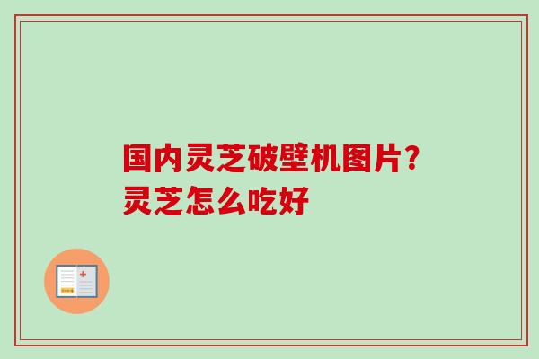 国内灵芝破壁机图片？灵芝怎么吃好