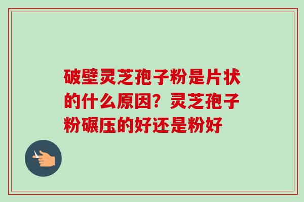 破壁灵芝孢子粉是片状的什么原因?灵芝孢子粉碾压的好还是粉好