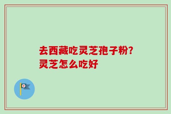去西藏吃灵芝孢子粉？灵芝怎么吃好