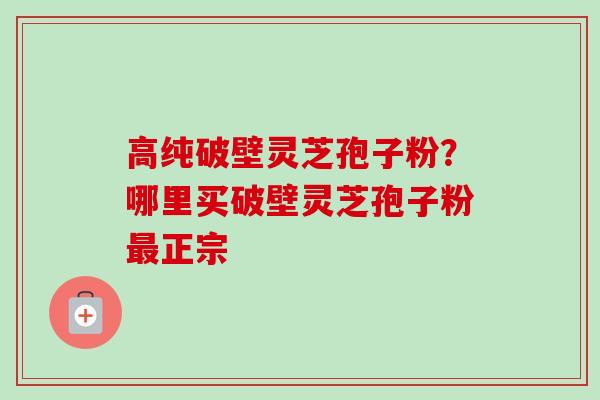 高纯破壁灵芝孢子粉？哪里买破壁灵芝孢子粉最正宗