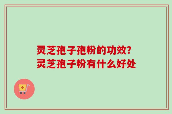 灵芝孢子孢粉的功效？灵芝孢子粉有什么好处