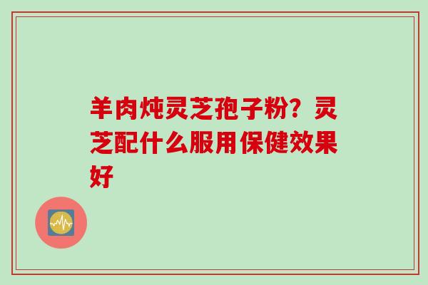 羊肉炖灵芝孢子粉？灵芝配什么服用保健效果好