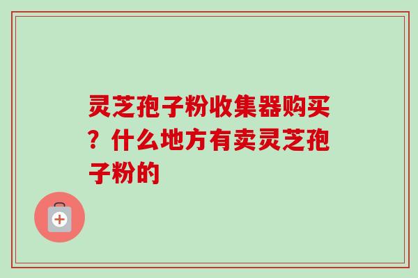 灵芝孢子粉收集器购买？什么地方有卖灵芝孢子粉的