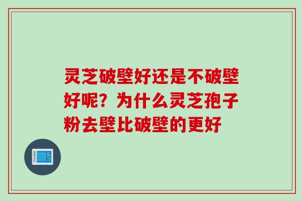 灵芝破壁好还是不破壁好呢？为什么灵芝孢子粉去壁比破壁的更好