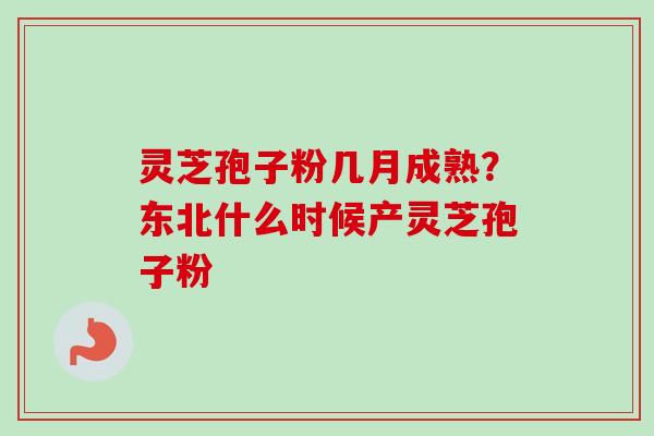 灵芝孢子粉几月成熟？东北什么时候产灵芝孢子粉